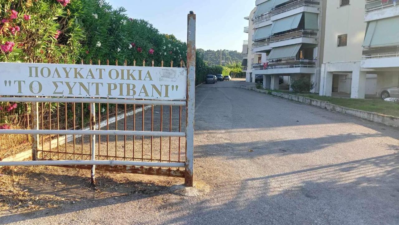 Apartment With Sea View Ωρωπός Εξωτερικό φωτογραφία